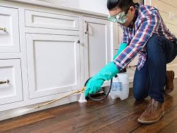 Best Residential Pest Control  in USA